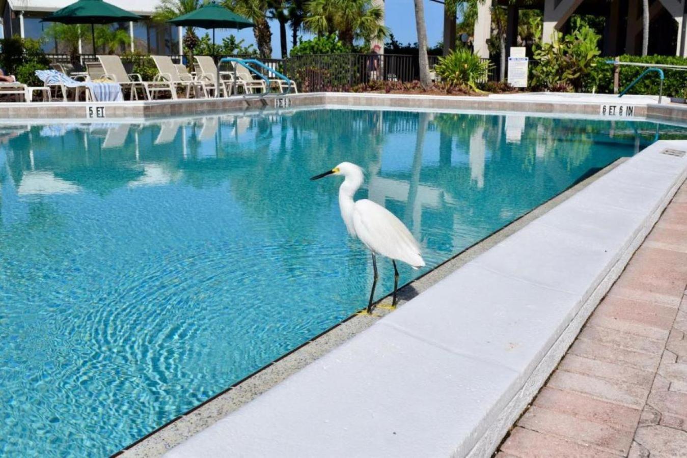 Caribbean Beach Club Fort Myers Beach Zewnętrze zdjęcie